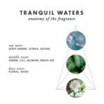 Tranquil Waters - Room Spray by Air/Aroma – Image 4